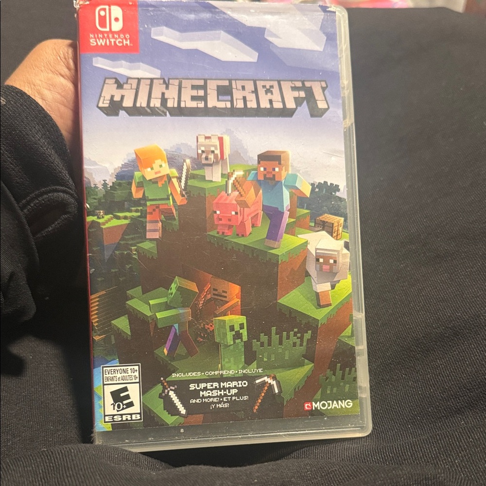 Nintendo Switch Minecraft - Red, Green, Blue